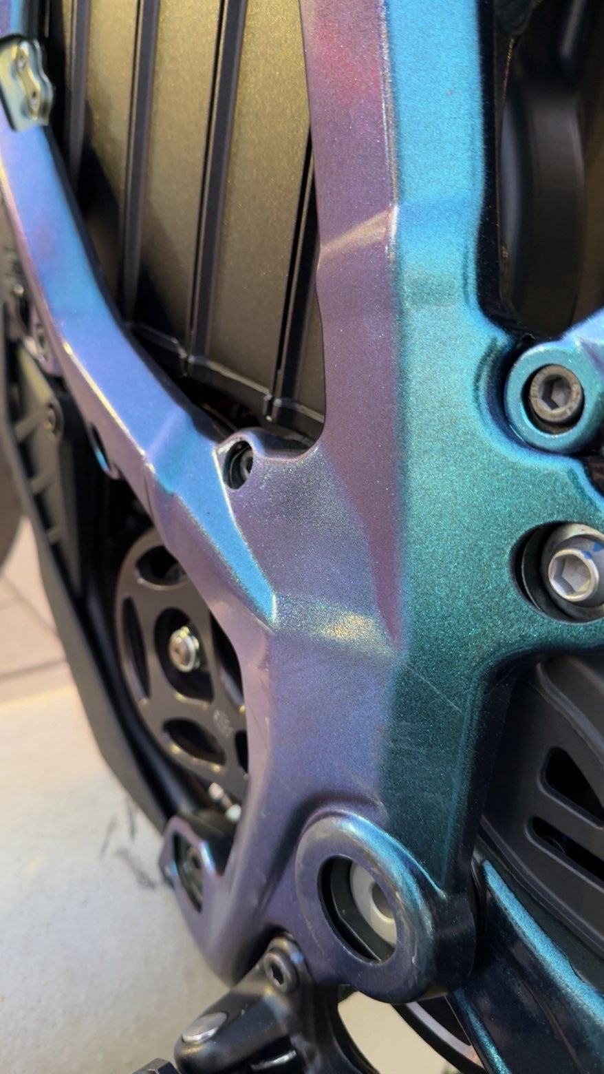 Ultra Bee Frame Guard